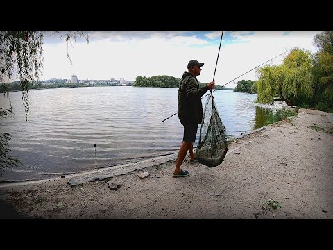 Видео: Вернувся додому, до хати, на старі місця!