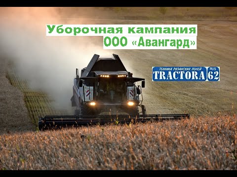 Видео: Красивая работа комбайнов ООО "Авангард"