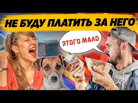 Видео: Устроила СКАНДАЛ в ТАКСИ из-за животного. Яжемать с тремя детьми