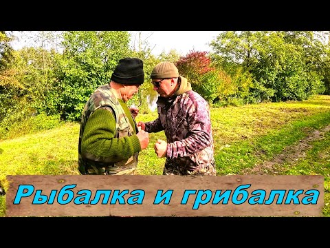 Видео: Рыбалка и грибалка!