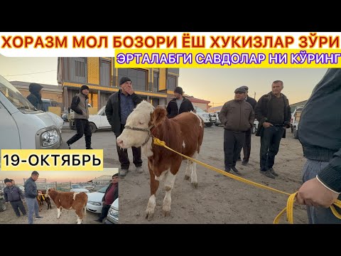 Видео: ХОРАЗМ МОЛ БОЗОРИ ЁШ ХУКИЗЛАР ЗЎРИ ЭРТАЛАБГИ САВДОЛАР НИ КЎРИНГ 19-октярбь 2025