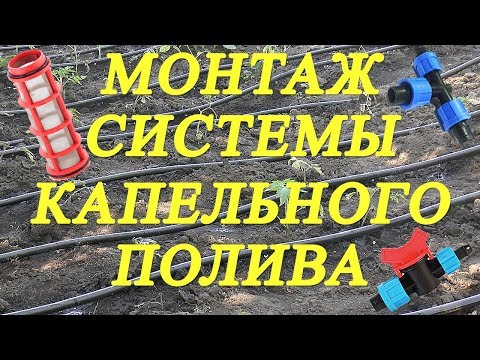 Видео: Установка системы капельного полива. Капельный полив монтаж.