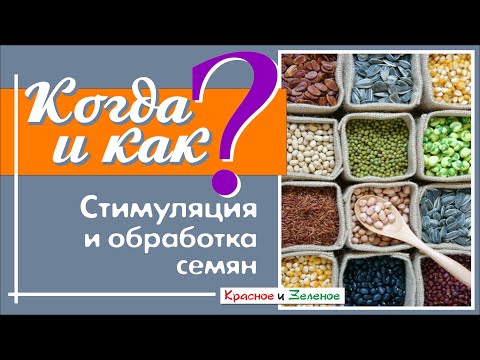 Видео: Стимуляция и обработка семян. Применяем разумно.