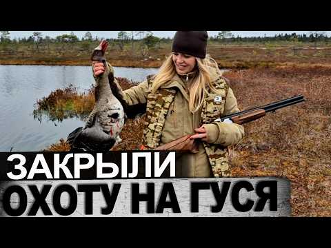 Видео: Охота на гусей  новая двустволка в деле