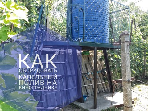 Видео: Капельный полив на винограднике.