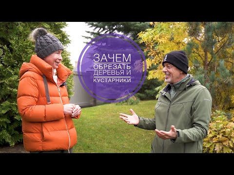 Видео: ЗАЧЕМ ОБРЕЗАТЬ РАСТЕНИЯ? Беседы с Андреем Дарусенковым