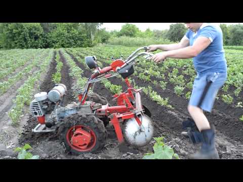Видео: Не думал, но пришлось...ОКУЧИВАНИЕ картошки ДИСКАМИ второй раз!