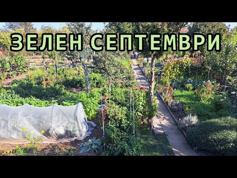 Видео: Еко градината ми без копане в края на септември - 2024