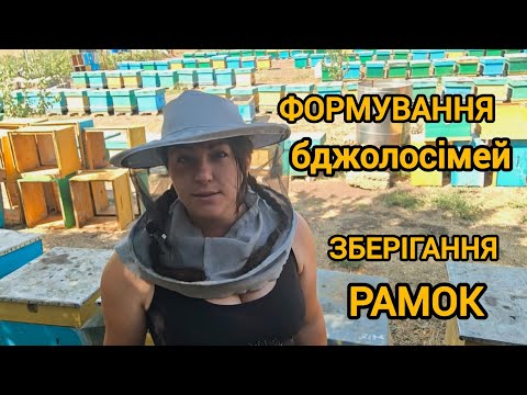 Видео: Формування гнізда. Обробка сотосховища від молі, зберігання рамок