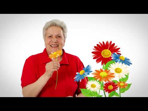 Видео: Голова садовая - Выгонка для всех луковичных