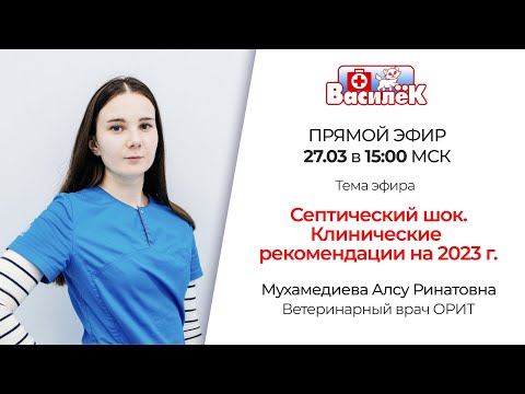 Видео: Септический шок. Клинические рекомендации на 2023 г.