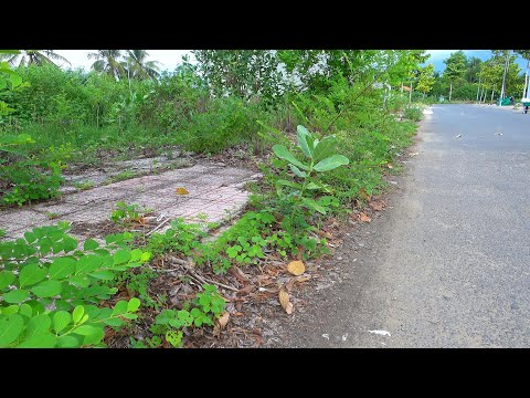 Видео: Надвигается буря. Эта дорога будет затоплена, если ее не очистить.