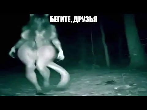 Видео: Набор Странных Мемов Забытой Папки