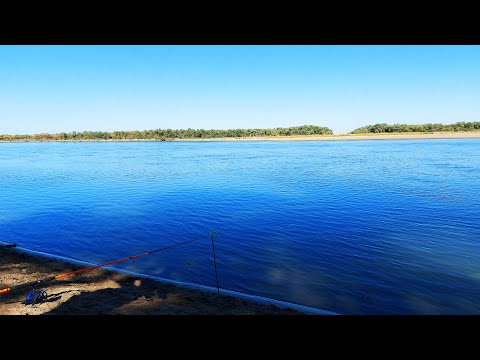 Видео: Сыр Дарья - часть 2. В тишине отдохнуть,порыбачить. Щазззз! Взяли с собой хорошего друга.