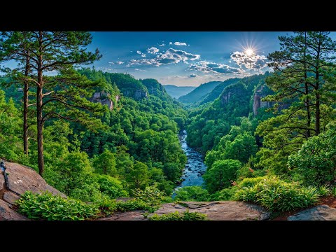 Видео: Красивая расслабляющая музыка🌿Целебная музыка для глубокого сна, умиротворяющее фортепиано