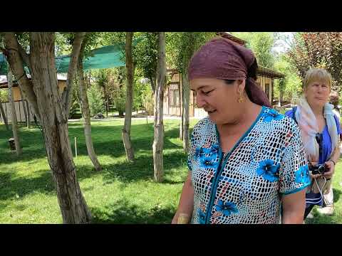 Видео: Узбекистан из самых чистых стран, которые вы увидите