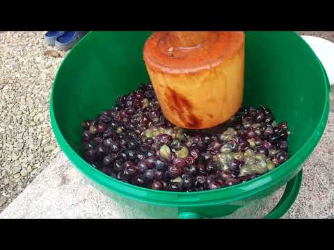 Видео: Տնական կարմիր գինի մաս 1Домашнее красное вино, часть 1.Homemade red wine part 1Domácí červené víno 1