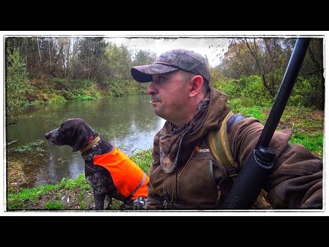 Видео: ХОДОВАЯ ОХОТА С КУРЦХААРОМ - ДИЧИ ПОЛНО!