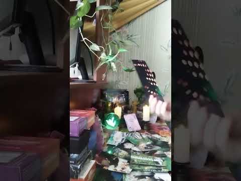 Видео: Сплетни о Вас) Что болтают родственники👥? Какие сплетни распускают? 😛😛💩