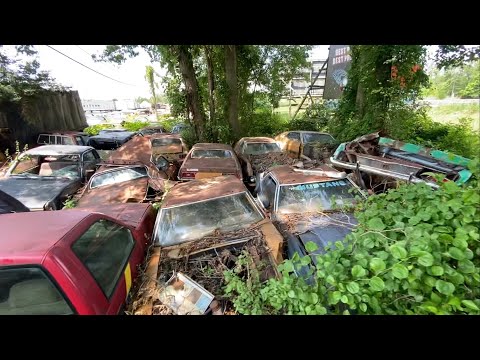 Видео: 😳В одной из заброшенных машин нашел отрезанную голову клоуна🤡 забытые BMW Mercedes Mustang Camaro