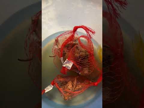 Видео: Как хранить георгины