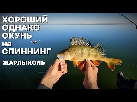 Видео: ХОРОШИЙ однако ОКУНЬ на СПИННИНГ - Рыбалка на озеро ЖАРЛЫКОЛЬ