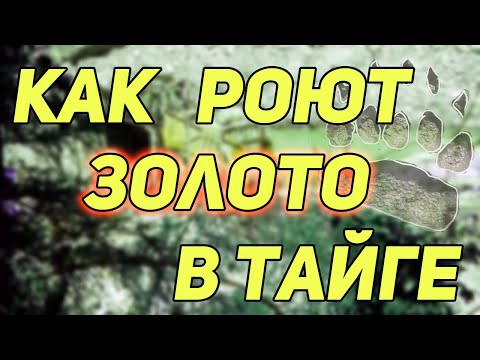 Видео: ✔️ КАК РОЮТ ЗОЛОТО В ТАЙГЕ. О ВАРВАРСКОМ ПРОМЫСЛЕ ЗОЛОТА