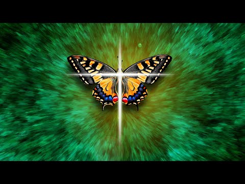 Видео: Ошо - Вечерние медитации,  12. Человек рожден не для того, чтобы ползать, озвучивает Nikosho.