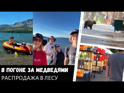 Видео: Гоняемся за медведями / Распродажа в лесу / Заплыв на грани провала / Влог США