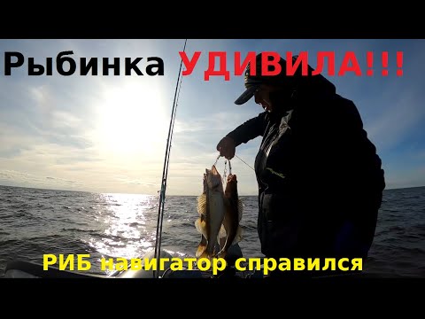 Видео: На Рыбинку в одиночку/первый опыт, классный крутой водоём!!!