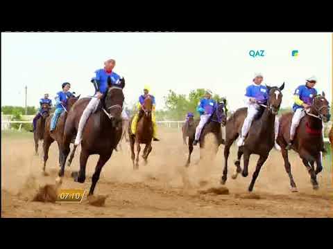 Видео: Бәйге түрлерінен Астана қаласының кубогі