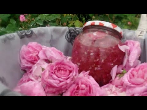 Видео: РОЗОВОЕ ВАРЕНЬЕ из лепестков ЧАЙНОЙ РОЗЫ по новому рецепту, без варки.100% сохранение витаминов!