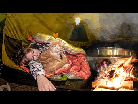 Видео: зимний поход с кошкой был очень теплым / устрицы на пару и макгеолли / одиночный кемпинг