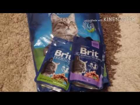 Видео: Отзывы о корме для кошек/котов Brit (сухой, пауч)