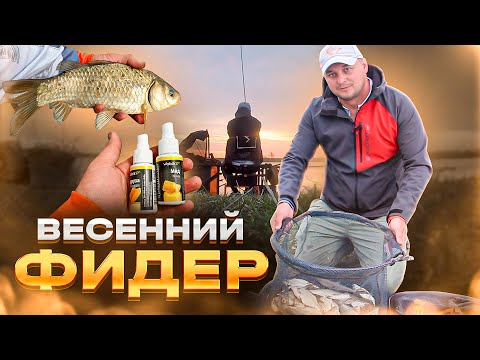 Видео: ВЕСЕННИЙ ФИДЕР, КАК КАРАСИ РВУТ ПОВОДКИ!
