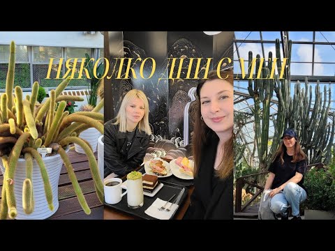 Видео: Есенни дни в Корея / Влог 