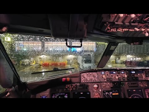 Видео: Отель в Портленде и прогулка по Далласу.