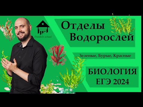 Видео: ВОДОРОСЛИ для ЕГЭ 2024 |ЕГЭ БИОЛОГИЯ|Freedom|