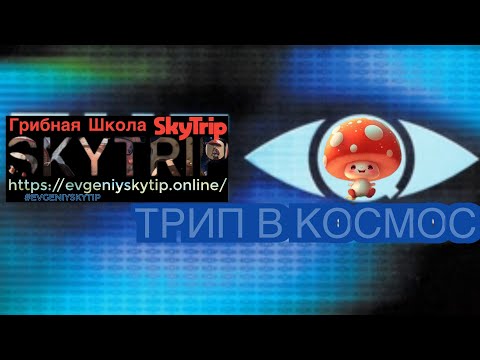 Видео: ТРИП В КОСМОС  МУХОМОРНАЯ ШКОЛА SKYTRIP  EVGENIYSKYTIP