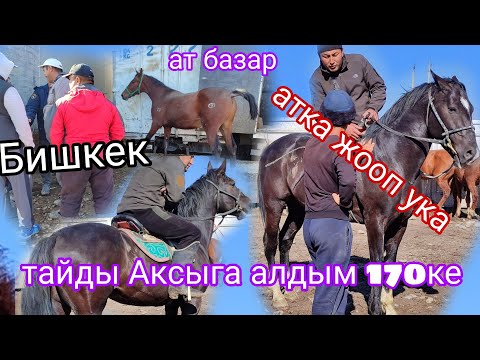 Видео: 19.Октябрь 600 миң деген аттар кайсыл жакка сатылды 🔥🔥 Бишкек жылкы базары