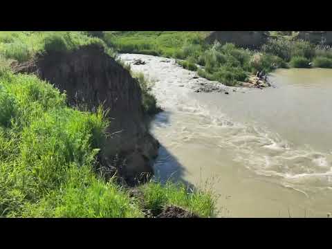 Видео: р. Егорлык близ Птичьего | Ставрополье 28.05.22