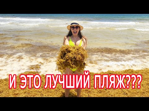 Видео: НЕ ЛЕТИТЕ В МЕКСИКУ ПОКА НЕ ПОСМОТРЕЛИ ЭТО ВИДЕО! ТУЛУМ - ЛУЧШИЙ КУРОРТ МЕКСИКИ? НОЧУЕМ В ПАЛАТКЕ