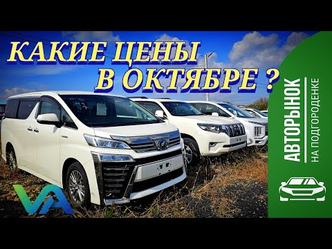 Видео: #авторынок КАКИЕ ЦЕНЫ В ОКТЯБРЕ?