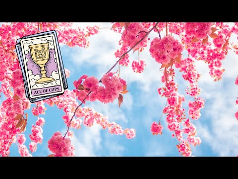 Видео: 🙄Кога ще спра да бъда Другата жена за теб? 🥂Ще се промени ли това? 🎯