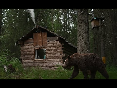 Видео: МЕДВЕДЬ ХОДИТ ВОКРУГ ИЗБЫ. НАШЁЛ КОВАНЫЙ НОЖ! ЖИВУ В ТАЙГЕ. ОБ ОХОТНИЧЬЕЙ ИЗБЕ ЦАРСКОГО ВРЕМЕНИ.