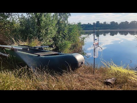 Видео: На очерет товстолобик теж клює. Риболовля на товстолоба.