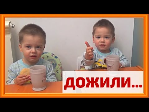 Видео: Едим БЕДНЯЦКИЕ печенья. Рецепт в видео ❗️
