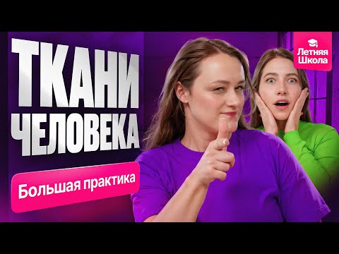 Видео: 5. Ткани человека | Летняя школа | ЕГЭ-2026 по биологии