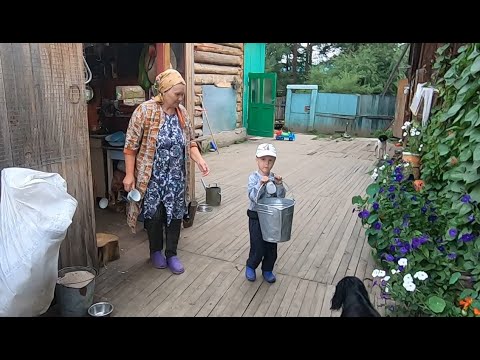 Видео: Поиски коровы, проводы сына и внучат