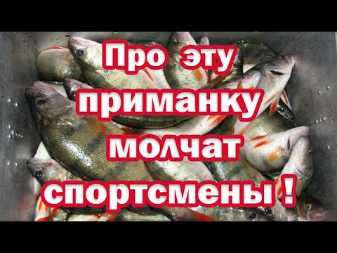 Видео: Спортсмены ПРО эту Приманку МОЛЧАТ !!!  Просто БРАКОНЬЕРСКАЯ СНАСТЬ на окуня и щуку!!!